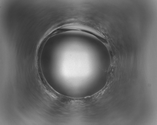 X0000073470150200608111545