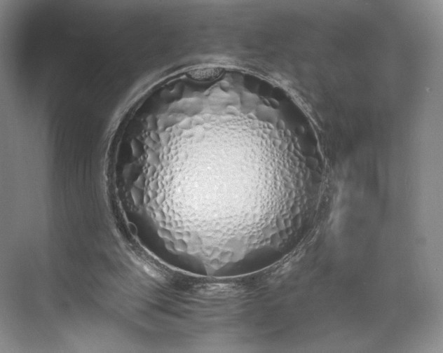 X0000073470151200608111545