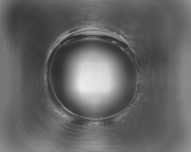 X0000073470152200608111545