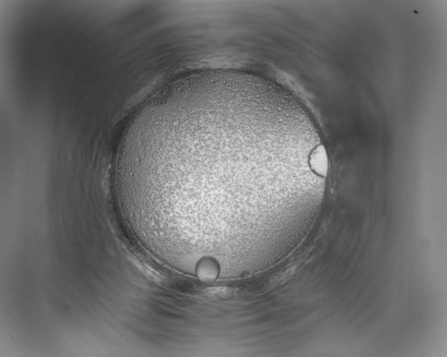 X0000073470153200608111545