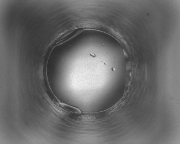 X0000073470154200608111545