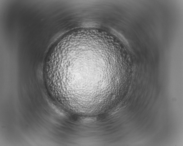 X0000073470155200608111545