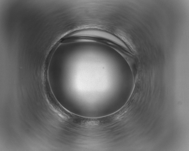 X0000073470156200608111545