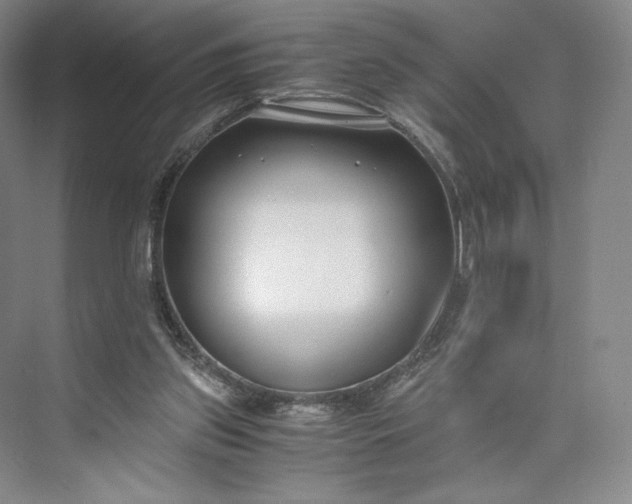 X0000073470157200608111545