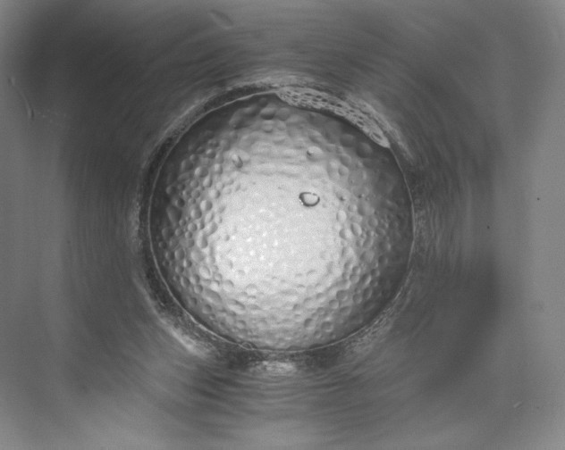 X0000073470159200608111545