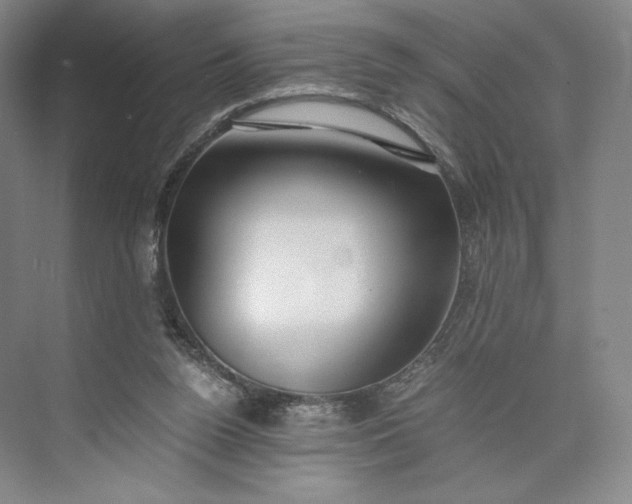 X0000073470160200608111545