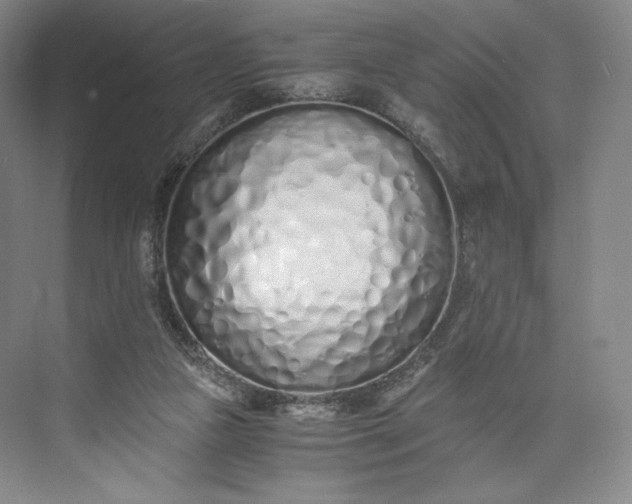 X0000073470161200608111545