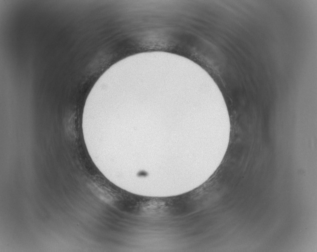 X0000073470162200608111545