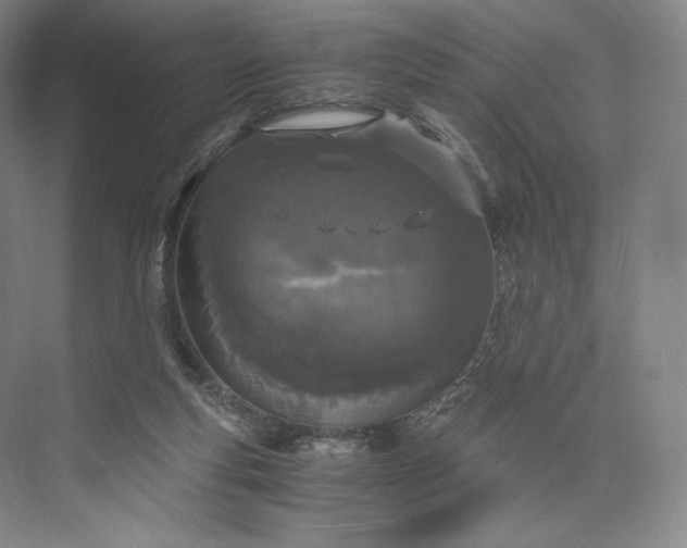 X0000073470163200608111545