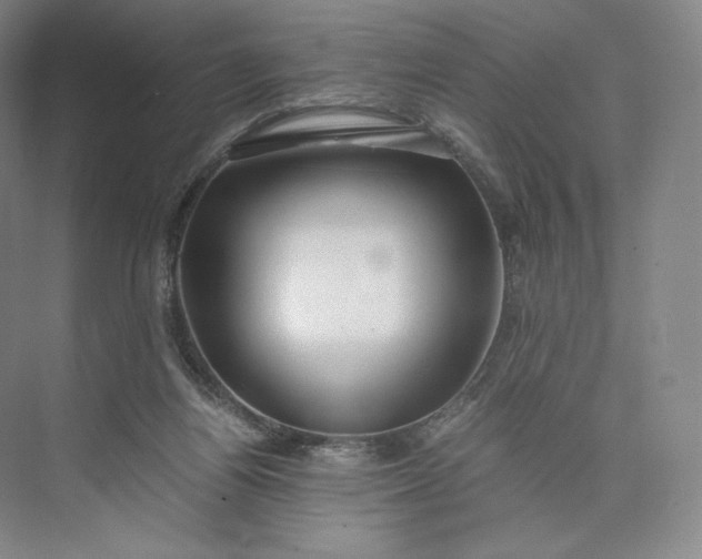 X0000073470164200608111545