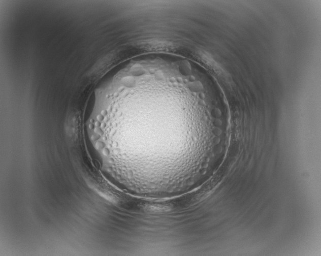 X0000073470165200608111545