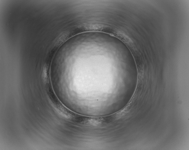 X0000073470166200608111545