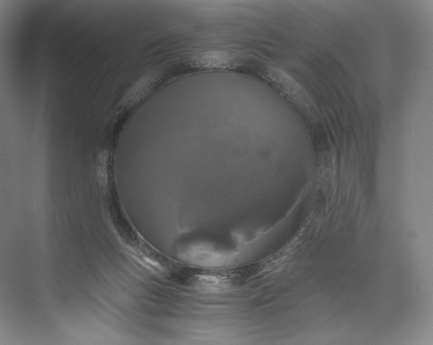 X0000073470167200608111545