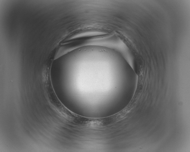 X0000073470168200608111545