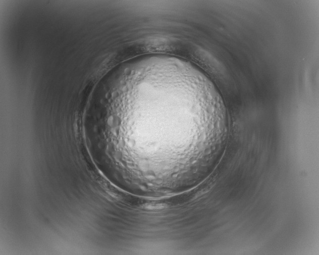 X0000073470169200608111545