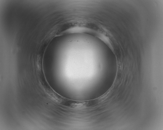 X0000073470170200608111545