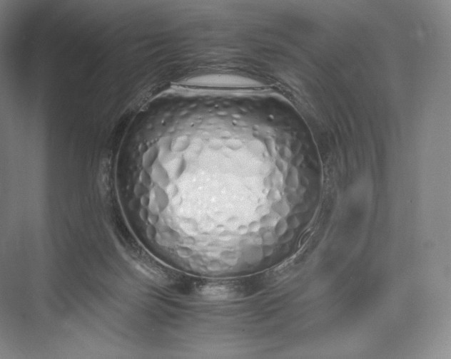 X0000073470171200608111545