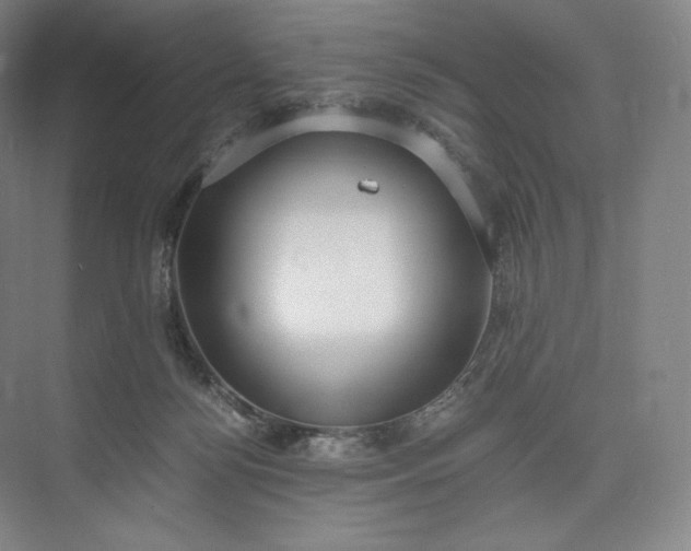 X0000073470172200608111545