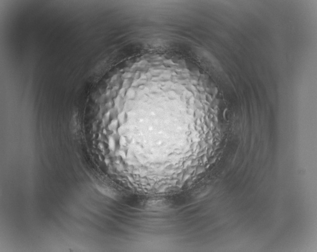 X0000073470173200608111545