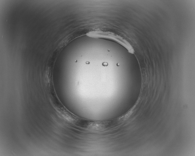 X0000073470174200608111545