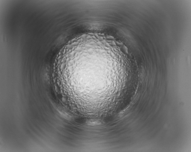 X0000073470175200608111545