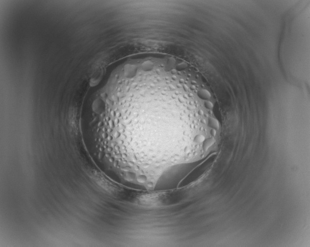 X0000073470178200608111545