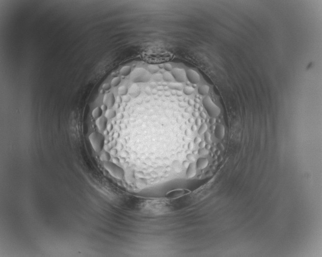 X0000073470179200608111545