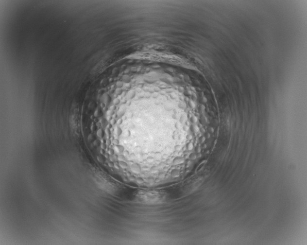 X0000073470181200608111545