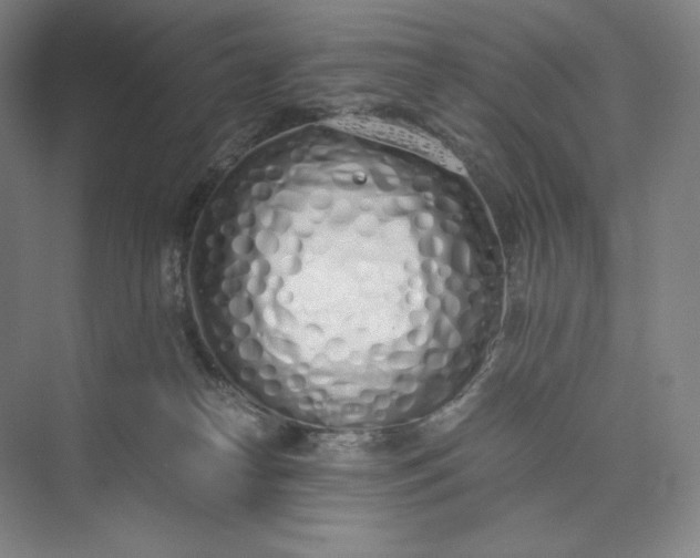 X0000073470182200608111545