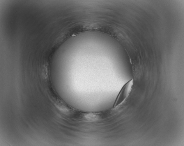 X0000073470183200608111545