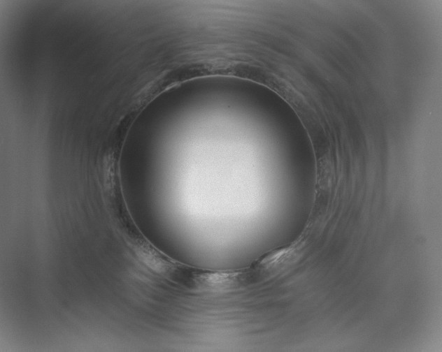 X0000073470184200608111545