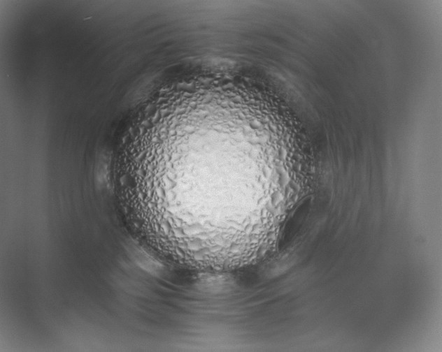 X0000073470185200608111545