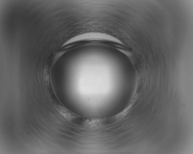 X0000073470186200608111545