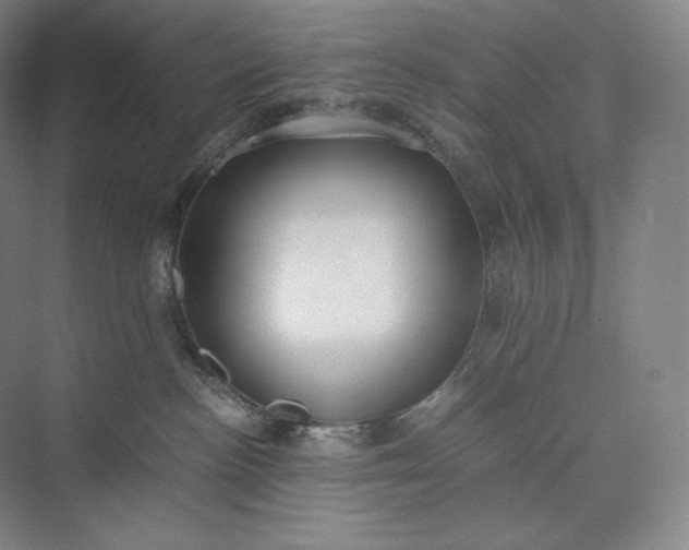 X0000073470188200608111545