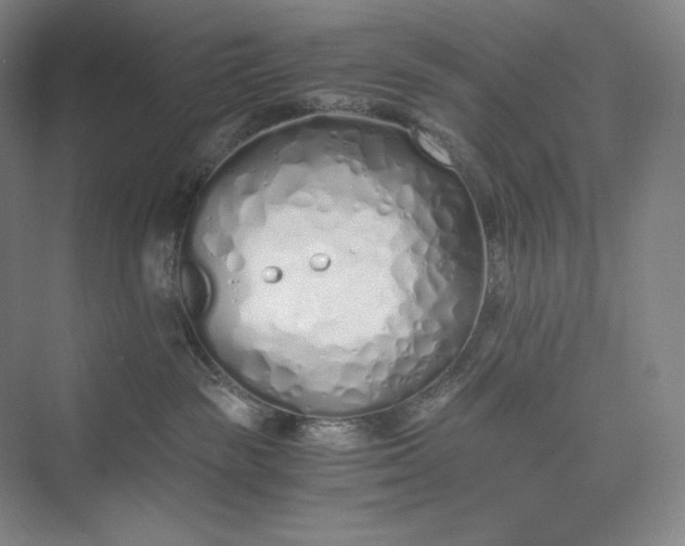 X0000073470189200608111546