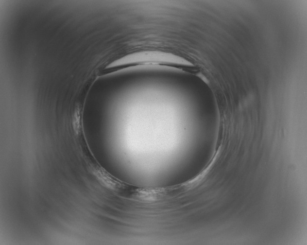 X0000073470190200608111546