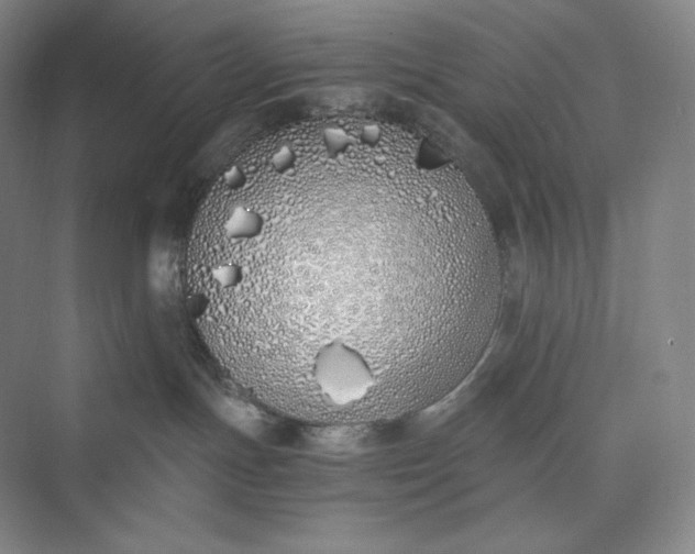 X0000073470191200608111546