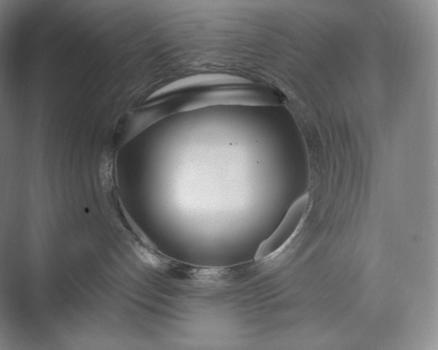 X0000073470192200608111546