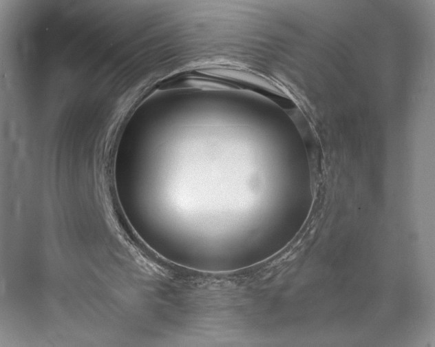 X0000073470193200608111545