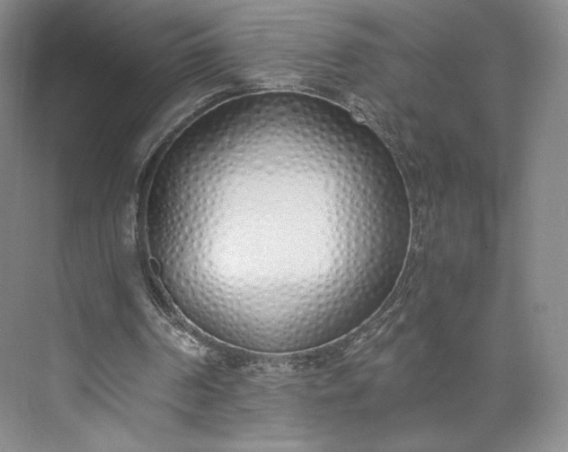 X0000073470194200608111545