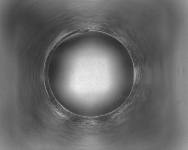 X0000073470195200608111545