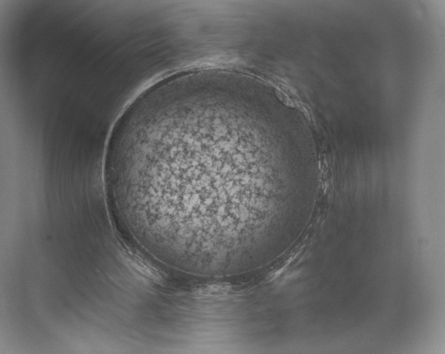 X0000073470196200608111545