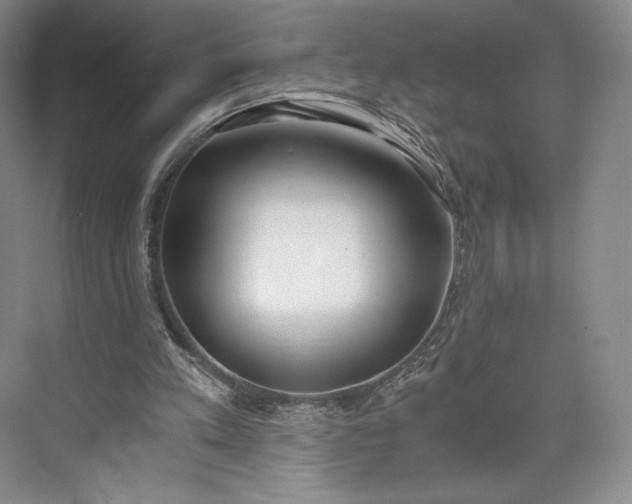 X0000073470197200608111545