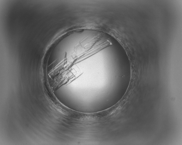 X0000073470198200608111545