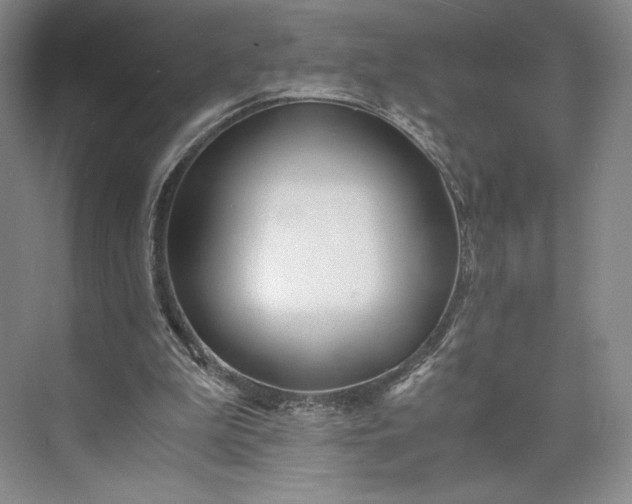 X0000073470199200608111545