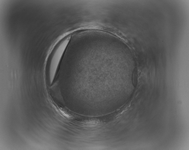 X0000073470200200608111545