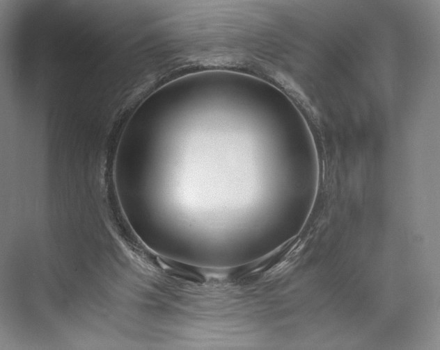 X0000073470201200608111545