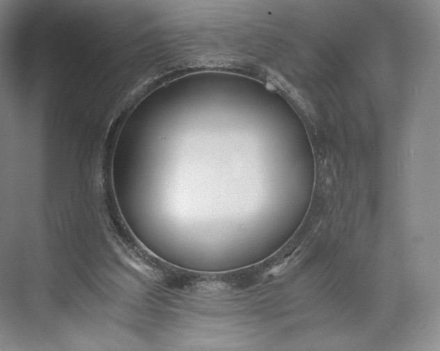 X0000073470203200608111545