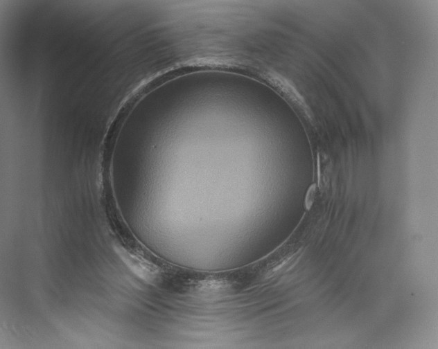 X0000073470204200608111545