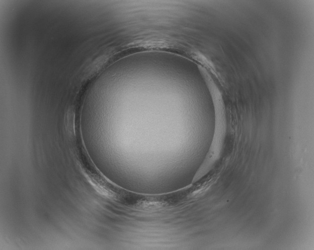 X0000073470205200608111545